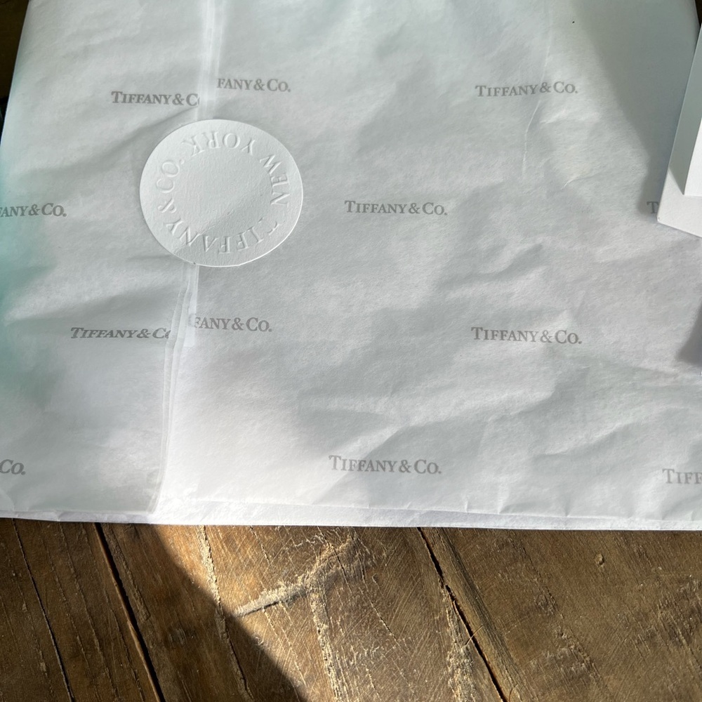 Tiffany & Co. Presentation Bundle - image 5